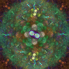 Image showing Symmetrical growth of bacteria