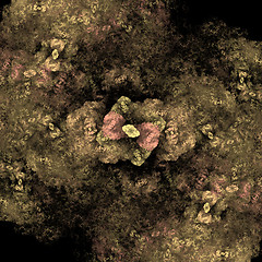 Image showing Symmetrical growth of bacteria