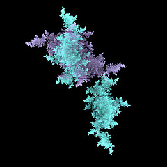 Image showing Symmetrical growth of bacteria