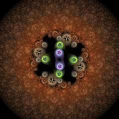 Image showing Symmetrical growth of bacteria