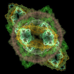 Image showing Symmetrical growth of bacteria