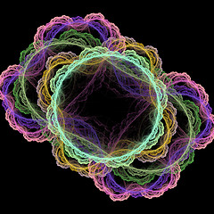 Image showing Symmetrical growth of bacteria