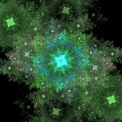 Image showing Symmetrical growth of bacteria