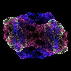 Image showing Symmetrical growth of bacteria