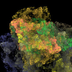 Image showing Symmetrical growth of bacteria