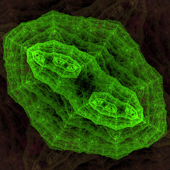 Image showing Symmetrical growth of bacteria