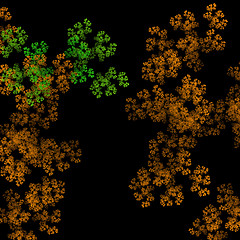 Image showing Symmetrical growth of bacteria