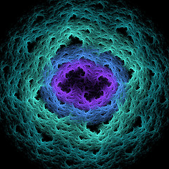 Image showing Symmetrical growth of bacteria