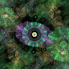 Image showing Symmetrical growth of bacteria