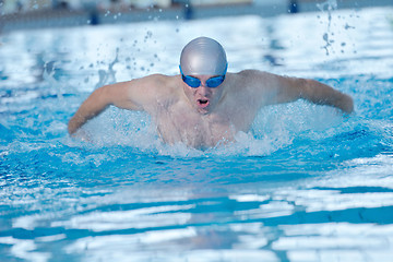 Image showing swimmer athlete