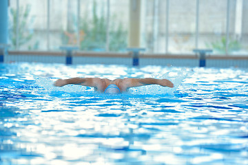 Image showing swimmer athlete