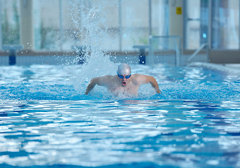 Image showing swimmer athlete