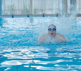 Image showing swimmer athlete