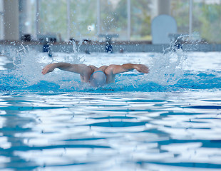 Image showing swimmer athlete