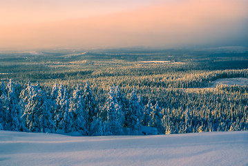 Image showing Sunset over a forest