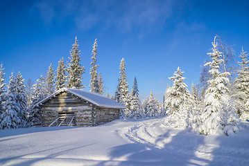 Image showing Cottage in the forest