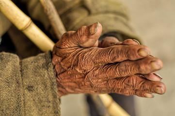 Image showing Senior with wrinkled hands