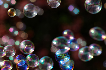 Image showing Soap bubbles