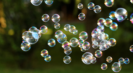 Image showing Soap bubbles