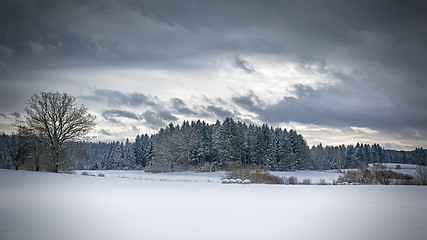 Image showing winter scenery