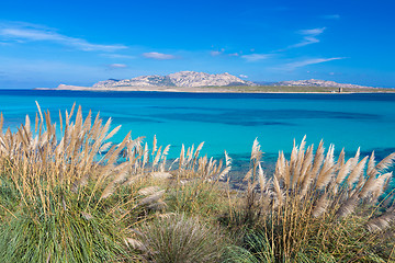 Image showing Pelosa beach, Sardinia, Italy.