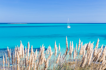 Image showing Pelosa beach, Sardinia, Italy.