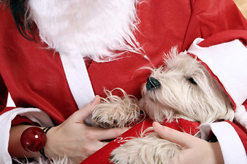 Image showing Santa claus