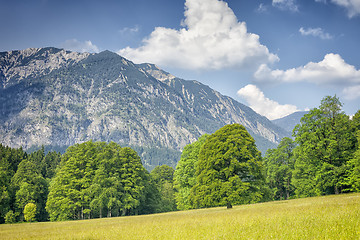 Image showing Alps with trees and grass