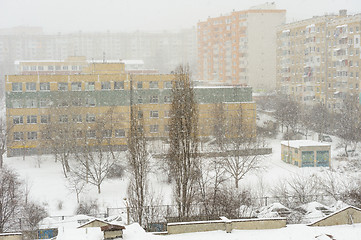 Image showing Snowstorm in the city