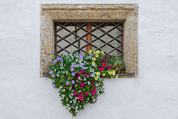 Image showing Colorful flowers on window exterior of old european house