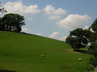 Image showing sheep hill