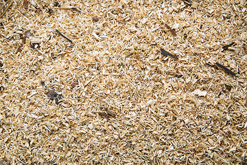 Image showing Sawdust as a background