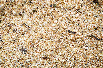 Image showing Sawdust as a background