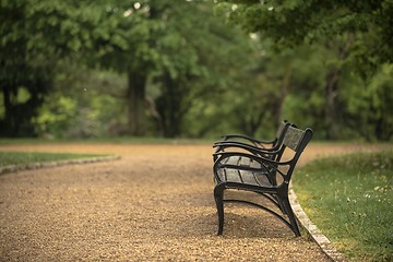 Image showing Stylish bench in autumn park