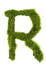 Image showing Letter made out of Leaves