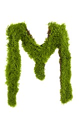 Image showing Letter made out of Leaves