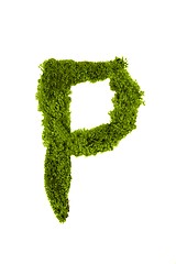 Image showing Letter made out of Leaves