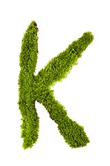 Image showing Letter made out of Leaves