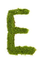 Image showing Letter made out of Leaves