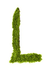 Image showing Letter made out of Leaves