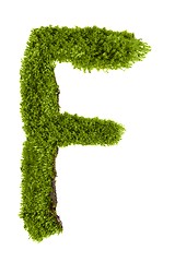 Image showing Letter made out of Leaves