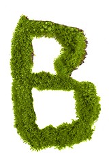 Image showing Letter made out of Leaves