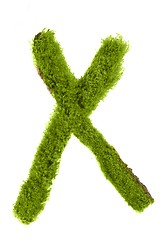 Image showing Letter made out of Leaves