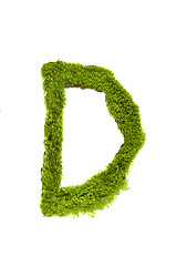 Image showing Letter made out of Leaves