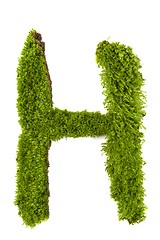 Image showing Letter made out of Leaves