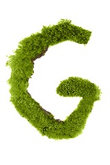 Image showing Letter made out of Leaves