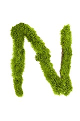 Image showing Letter made out of Leaves