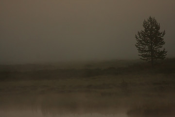 Image showing mist over the meadows