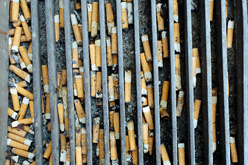 Image showing Cigarette butts