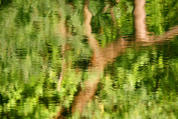 Image showing Tree reflection on water